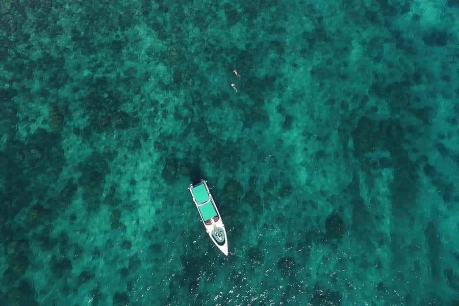 From Phuket: Phi Phi Island Private Full-Day Speedboat Trip - Bamboo Island gives the day a strong opening