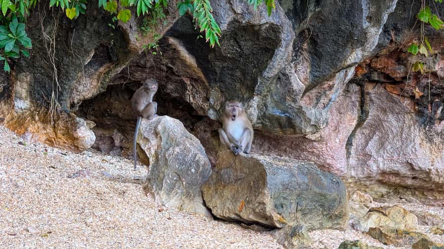 From Phuket: Premium Speedboat Tour to James Bond & Ko Panyi - Who will enjoy this day most