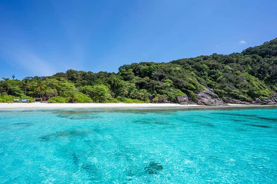 From Phuket: Similan Islands Snorkeling Trip by Speedboat - Koh Miang, Island No. 4, and a Thai lunch