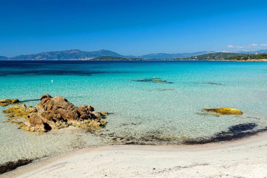 From Porticcio: Speedboat Tour to Cupabia Beach with Stops - Who will enjoy this boat day most