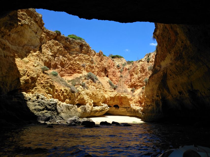 From Portimão: Benagil Caves Guided Speedboat Tour - Who should book this boat trip?
