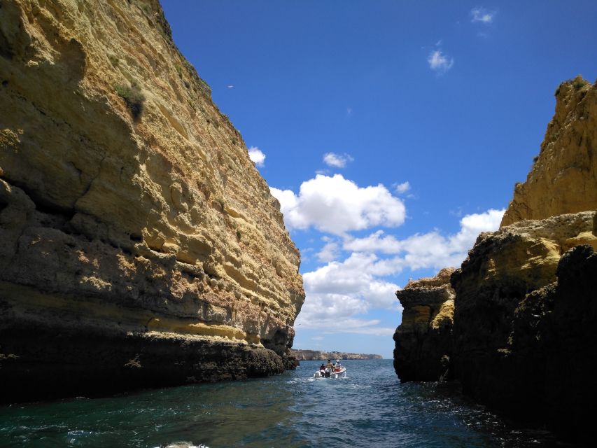 From Portimão: Benagil Caves Guided Speedboat Tour - Is $34 good value?