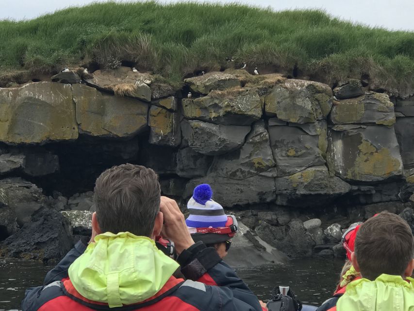 From Reykjavik: Whale Watching Tour by Speedboat - Who Will Enjoy This Trip Most?