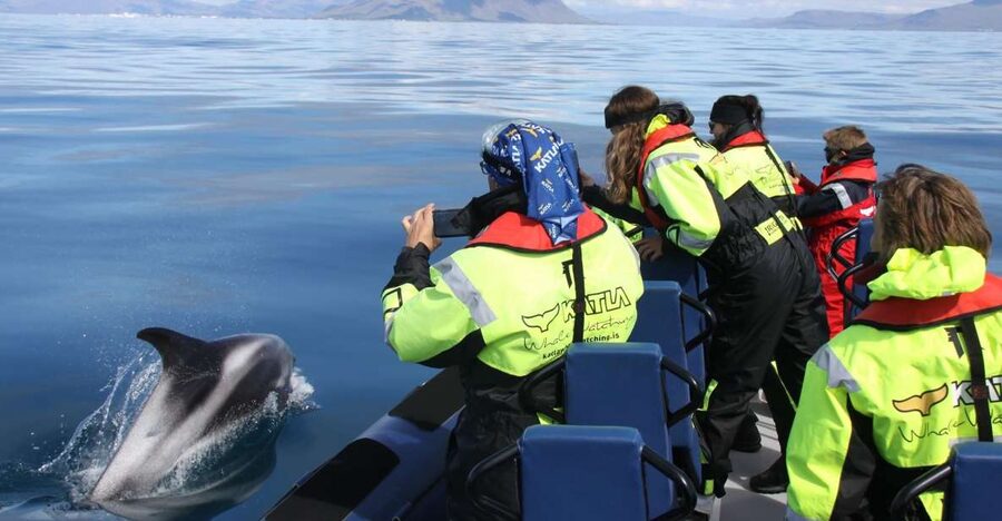 From Reykjavik: Whale Watching Tour by Speedboat - Searching for Whales in Faxaflói Bay