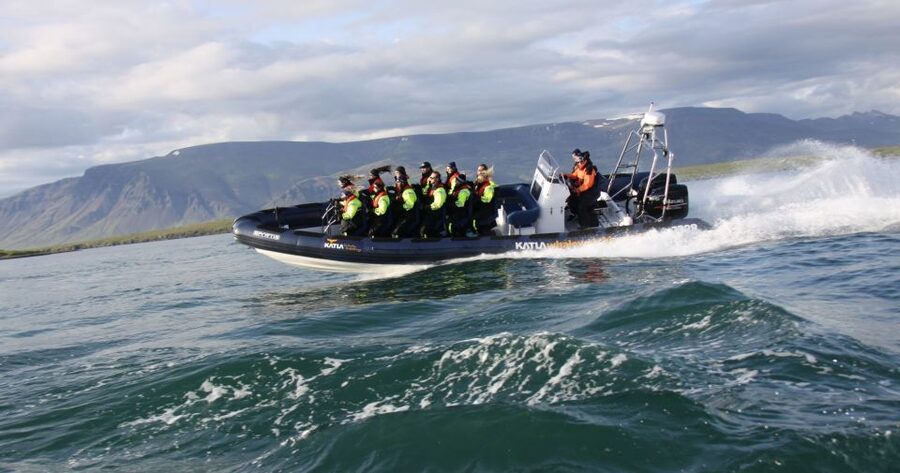 From Reykjavik: Whale Watching Tour by Speedboat - How Rough Is the Ride?