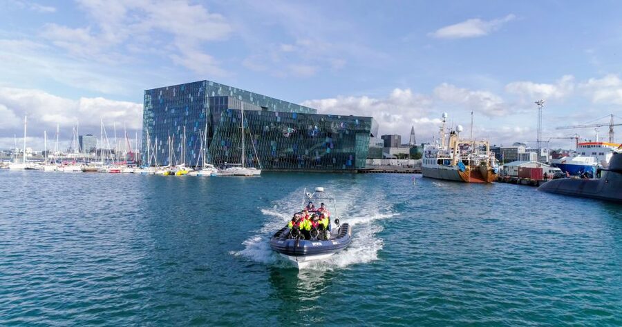 From Reykjavik: Whale Watching Tour by Speedboat - Is $192 a Fair Price?