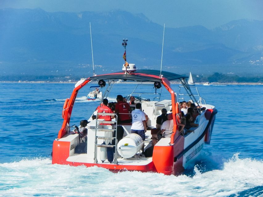 From Salou/Cambrils: Speedboat Tour - Costa Dorada Speedboat Tour: Key Points