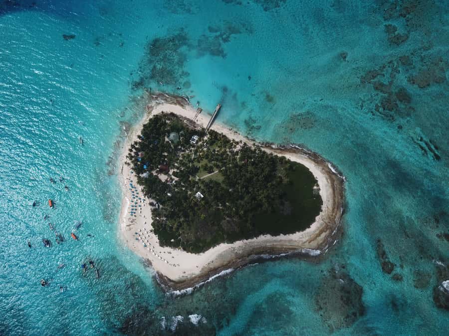 From San Andrés: Speedboat Tour to Johnny Cay Island - What this Johnny Cay trip really offers