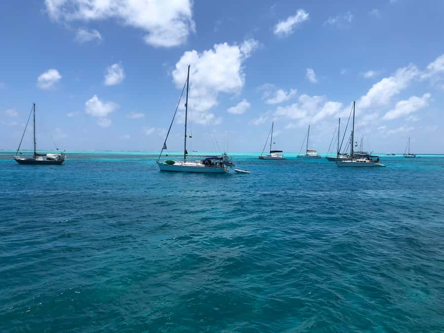 From San Andrés: Speedboat Tour to Johnny Cay Island - The organization problem deserves attention