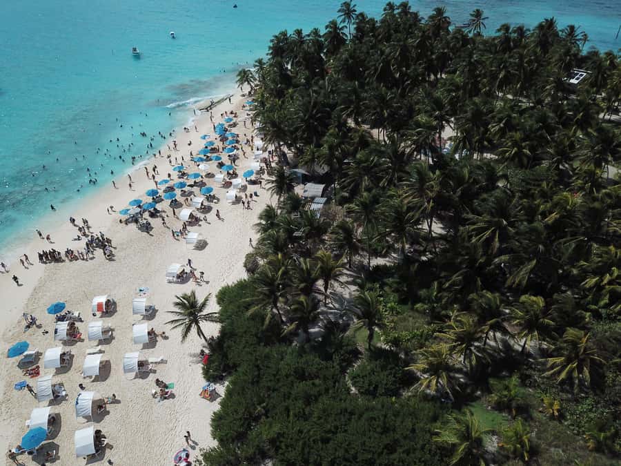 From San Andrés: Speedboat Tour to Johnny Cay Island - Meeting at Av. Newball in San Andrés