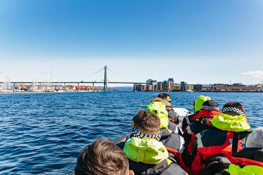 From Stavanger: Lysefjorden & Pulpit Rock RIB Boat Tour - Wildlife and the quieter side of the ride