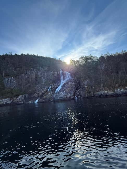 From Stavanger: Lysefjorden & Pulpit Rock Safari by RIB - Goats and the final local touch