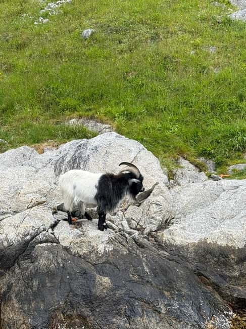 From Stavanger: Lysefjorden & Pulpit Rock Safari by RIB - The first 30 minutes: speed toward Lysefjord