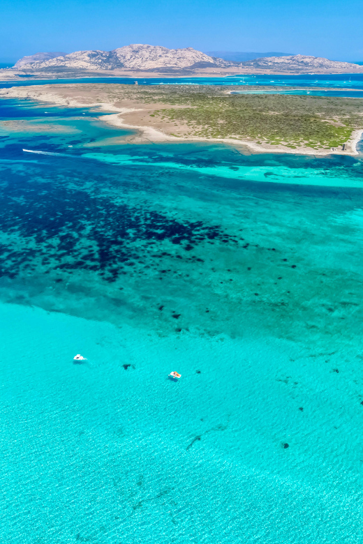 From Stintino: Half-Day Speedboat Tour to Asinara - Key points to know before booking