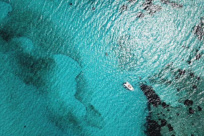 From Stintino: RIB tour in the gulf of Asinara - La Pelosa from the sea