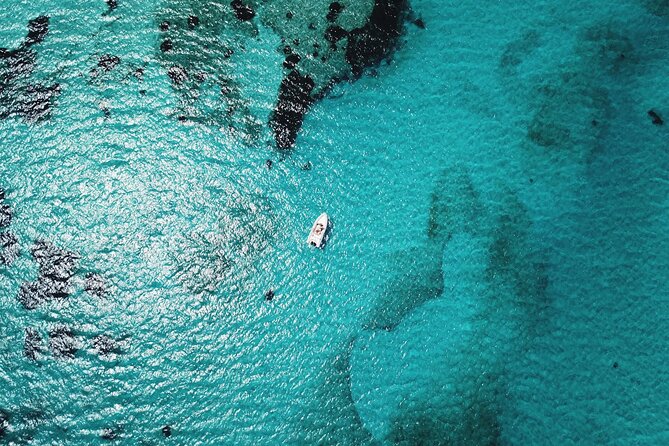 From Stintino: RIB tour in the gulf of Asinara - Capo Falcone and Roccia Forata