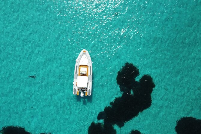 From Stintino: RIB tour in the gulf of Asinara - What the $60.46 fare really buys you