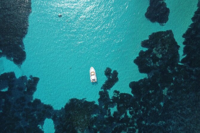 From Stintino: RIB tour in the gulf of Asinara - Timing, group size, and what to bring