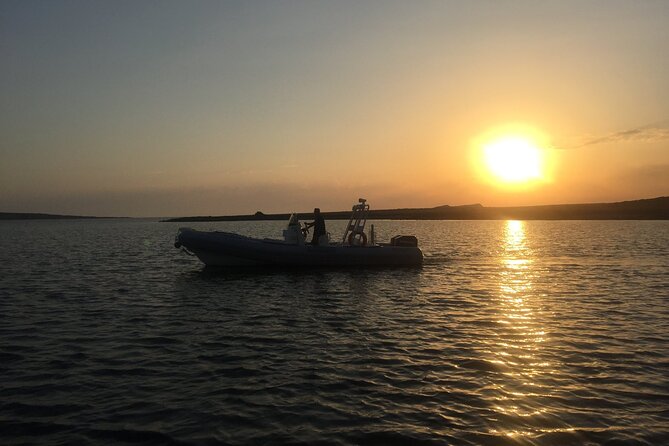 From Stintino: RIB tour in the gulf of Asinara - The Piscine Naturali di Fornelli