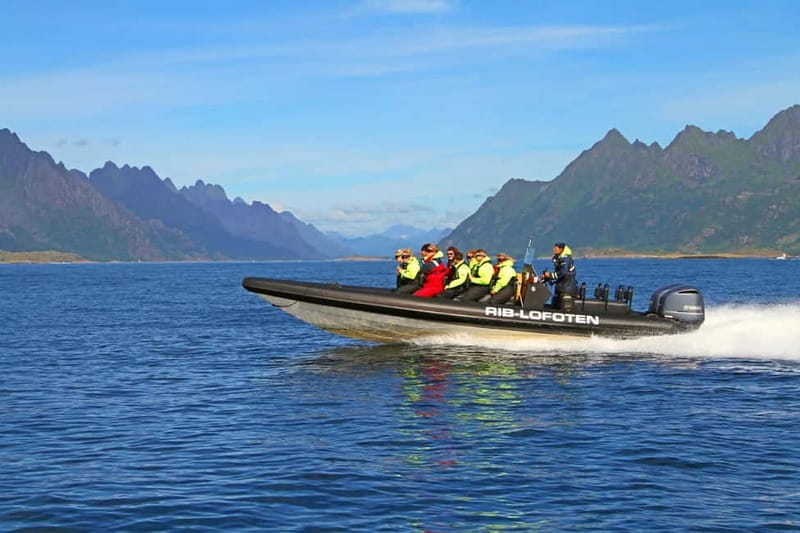 From Svolvær: Lofoten RIB Sea Eagle Safari Trollfjord Cruise - Starting at Torget in central Svolvær