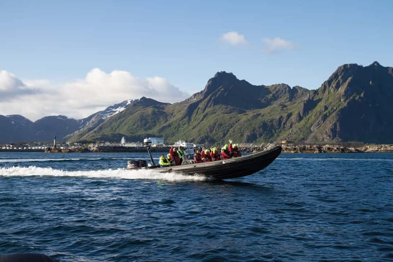 From Svolvær: Lofoten RIB Sea Eagle Safari Trollfjord Cruise - Watching white-tailed eagles near Trollfjord