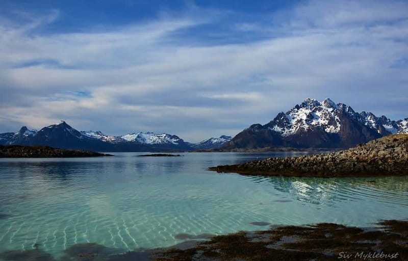 From Svolvær: Lofoten RIB Sea Eagle Safari Trollfjord Cruise - Booking and practical details