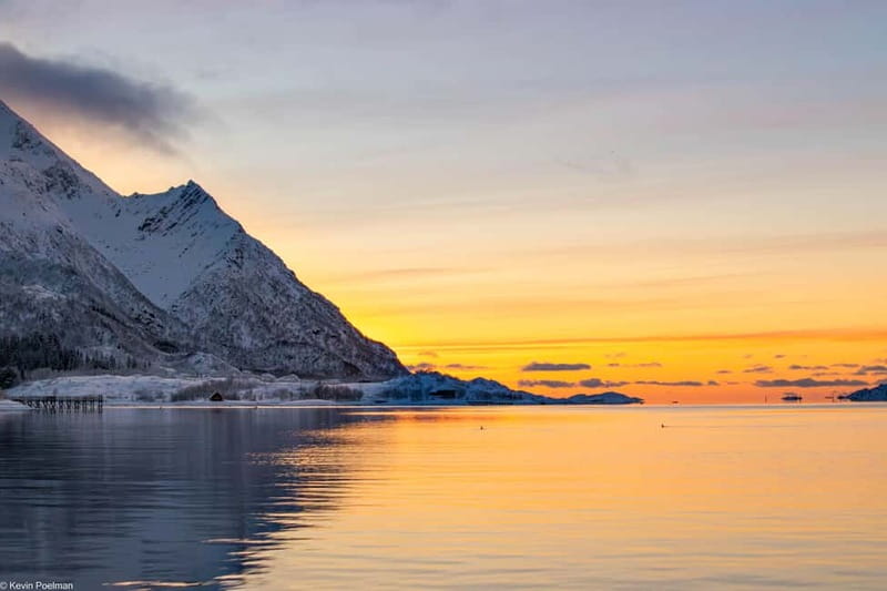 From Svolvær: RIB Boat Lofoten Trollfjord Sea Eagle Safari - Cancellation and planning details