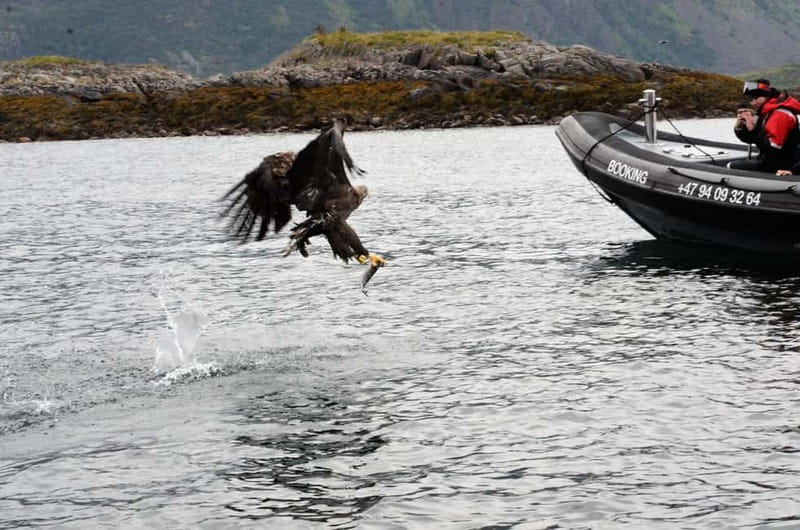 From Svolvær: RIB Boat Lofoten Trollfjord Sea Eagle Safari - Entering Trollfjord from the sea