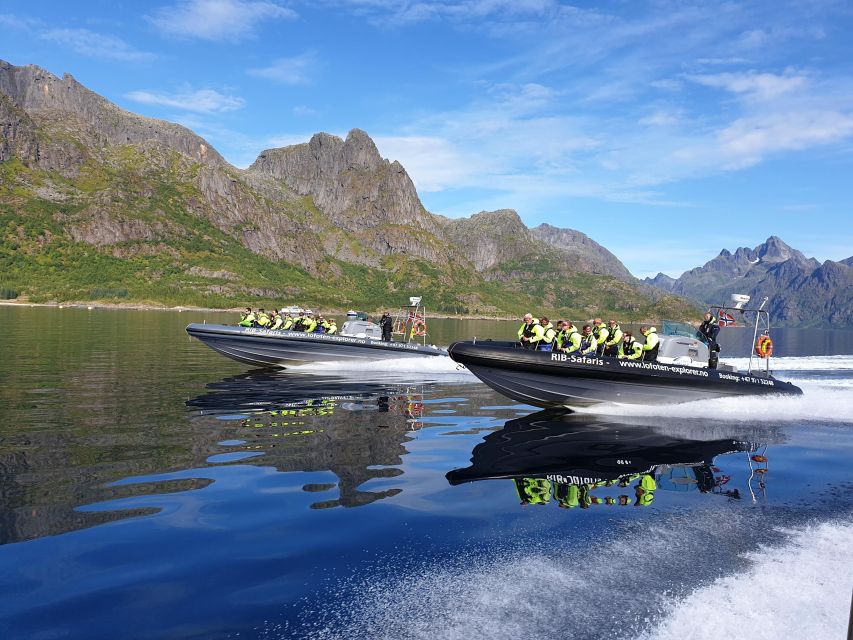 From Svolvaer: Trollfjorden Wildlife RIB Cruise - Leaving Svolvaer beneath the Lofoten peaks