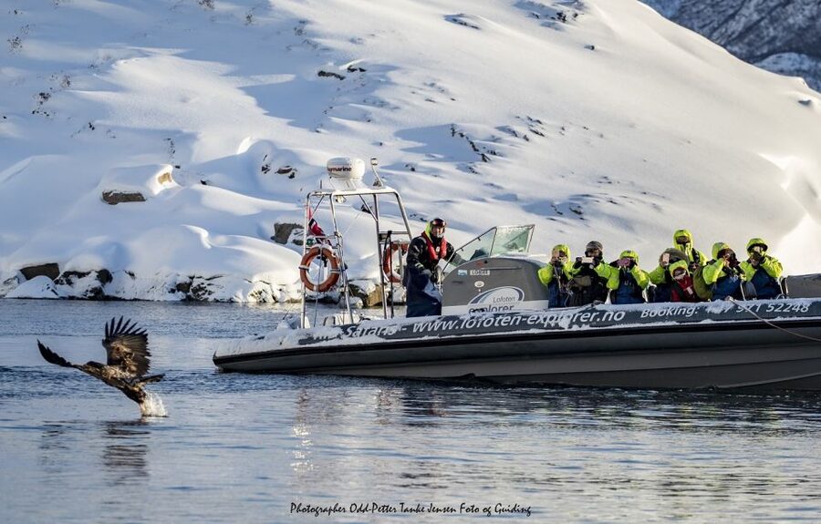 From Svolvaer: Trollfjorden Wildlife RIB Cruise - Who should book this RIB trip?