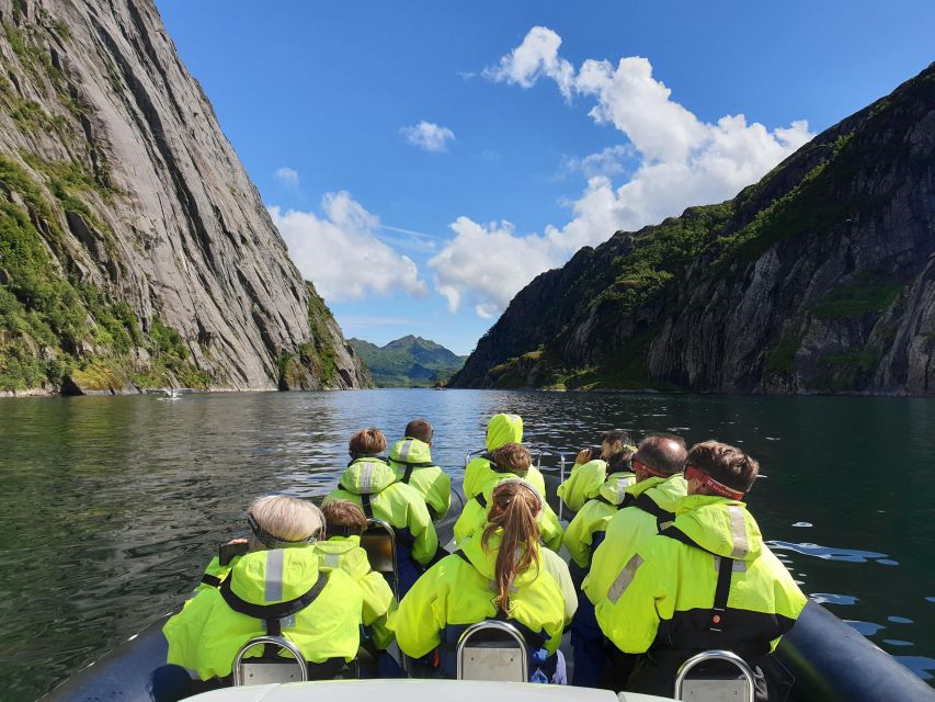 From Svolvaer: Trollfjorden Wildlife RIB Cruise - Øyhellsundet and the changing view