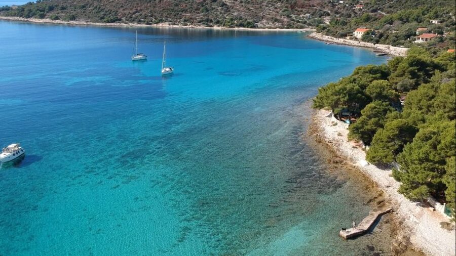 From Trogir: Three Islands Half-Day Speedboat Tour - Maslinica on Šolta: a one-hour taste of island life