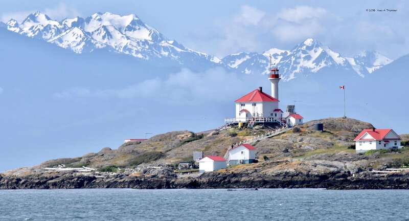 From Victoria: Whale Watching Tour by Zodiac Boat - How rough is the ride?