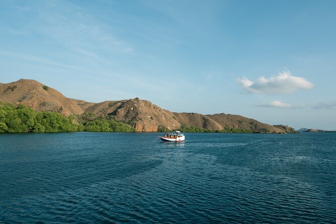Full-Day Adventure Tour to komodo Island with join Speed Boat tur - What $130 covers, and what it does not
