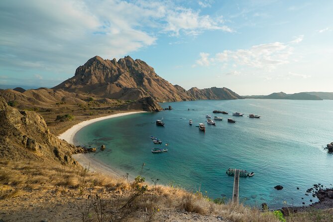 Full-Day Adventure Tour to komodo Island with join Speed Boat tur - Who should book this Labuan Bajo day trip?