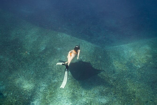 Full-Day Adventure Tour to komodo Island with join Speed Boat tur - Komodo Island and the uncertain dragon sighting