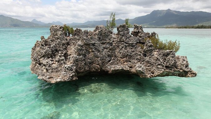 Full day Shared Speedboat Tour - South West Lagoon Dolphin Swim - The day at a glance