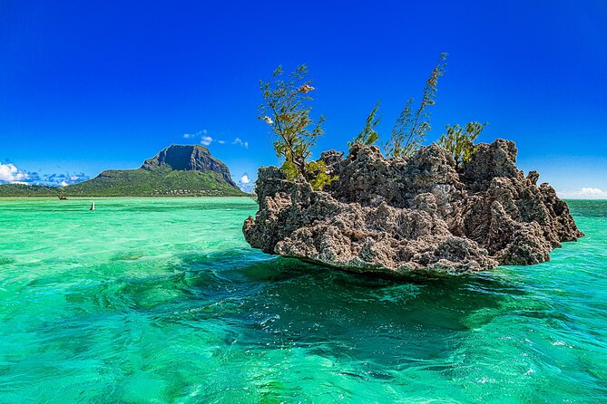 Full day Shared Speedboat Tour - South West Lagoon Dolphin Swim - Ile aux Benitiers: the long lunch stop