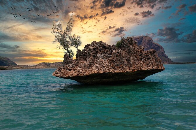 Full day Shared Speedboat Tour - South West Lagoon Dolphin Swim - The 6:30 am start and the ride to the coast