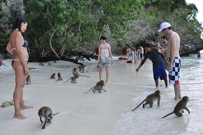 Full Day & Sunset Phi Phi Islands Tour From Phi Phi by Speedboat - Pi Leh Lagoon, Loh Samah Bay, and Maya Bay