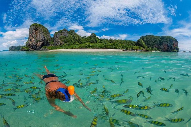 Full Day & Sunset Phi Phi Islands Tour From Phi Phi by Speedboat - Monkey Beach and Shark Point before lunch