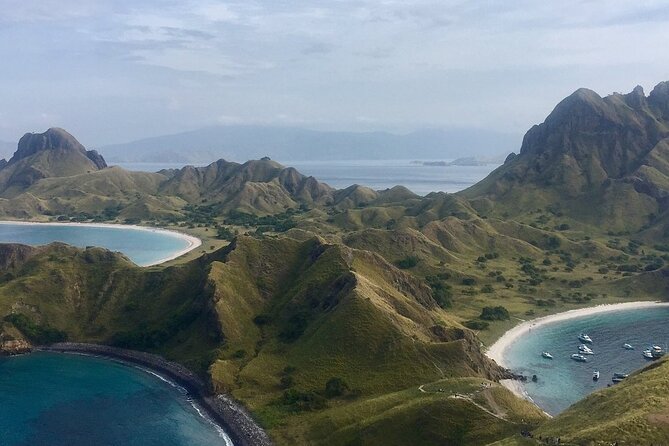 Full Day Tour to Komodo Island By Speed Boat to explore 6 destinations - Komodo Island is the main wildlife encounter