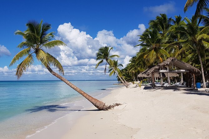 Full Day Tour to Saona Island by Catamaran and Speedboat - Why Saona Island makes a strong day trip from Punta Cana