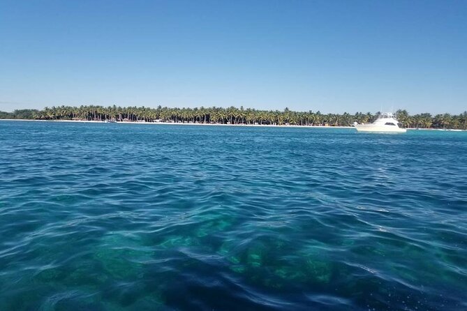 Full Day Tour to Saona Island by Catamaran and Speedboat - Playa Palmilla and its knee-deep natural pool