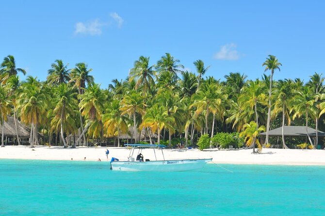 Full Day Tour to Saona Island by Catamaran and Speedboat - What the $80 price really covers