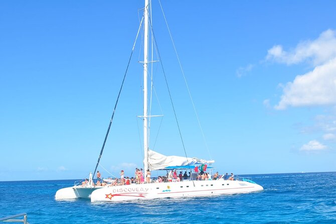 Full Day Tour to Saona Island by Catamaran and Speedboat - Small details that can improve your day