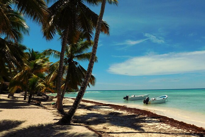 Full Day Tour to Saona Island by Catamaran and Speedboat - The 7:00 a.m. start and Punta Cana pickup