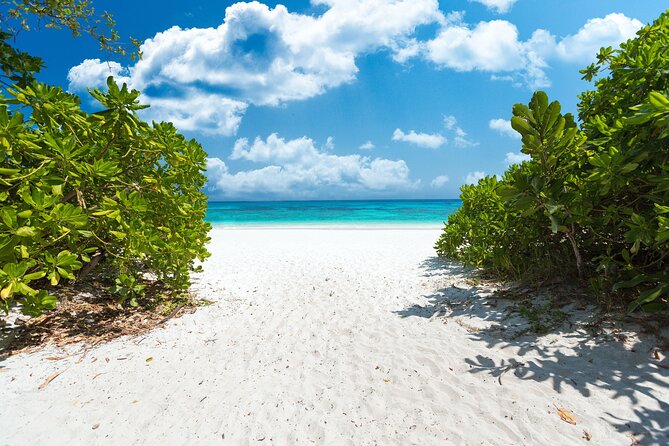 Full-day Tour to the Similan Islands by Speedboat from Khao Lak - Who should book this day on the water