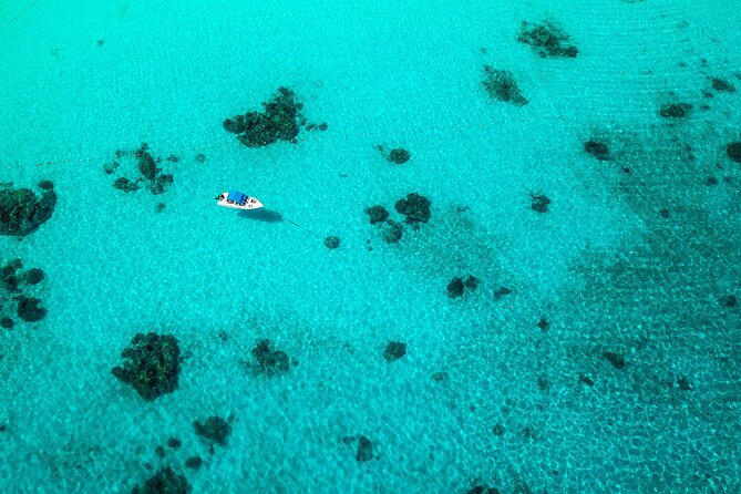 Full-day Tour to the Similan Islands by Speedboat from Khao Lak - Island beaches, swimming, and a short viewpoint walk
