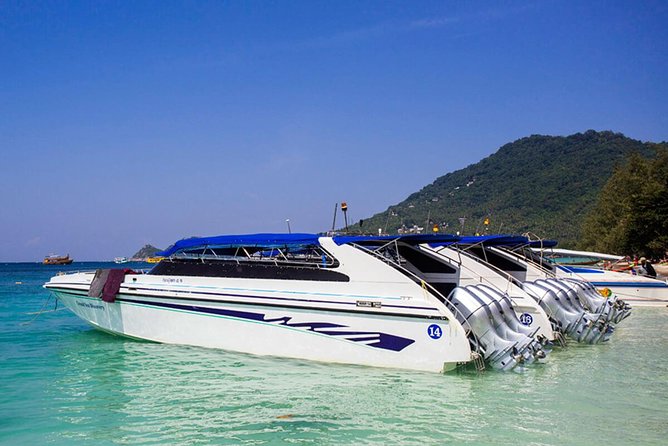 Full-Day Trip to Koh Tao and Koh Nang Yuan from Koh Samui by Speedboat - What the Koh Tao day trip is really like